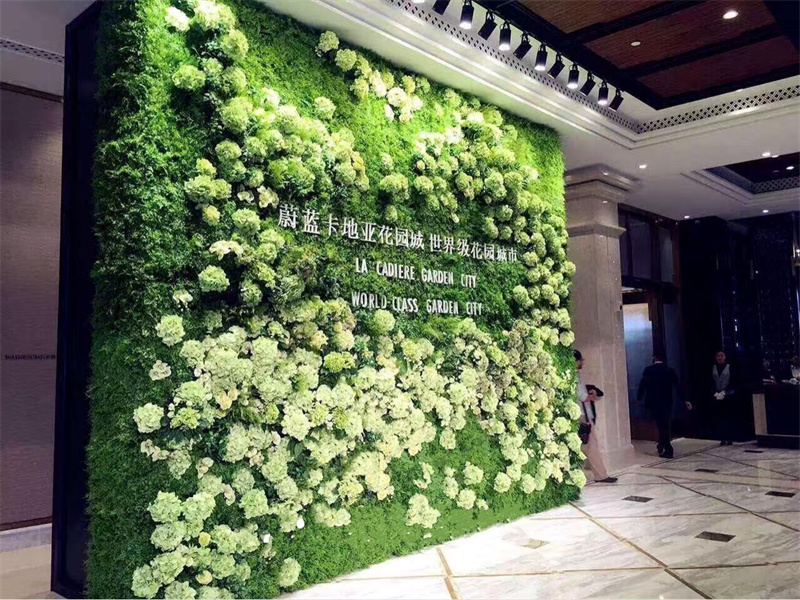 企业形象植物墙案例