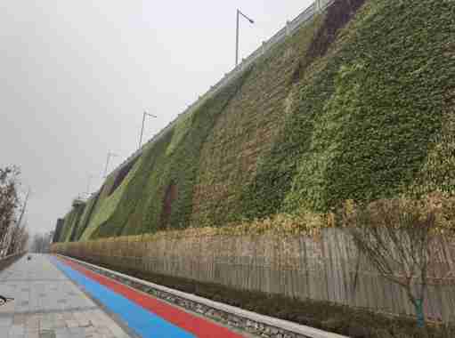 重庆宏滨路边坡垂直绿化案例